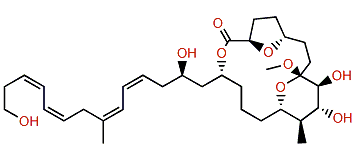 Formosalide B